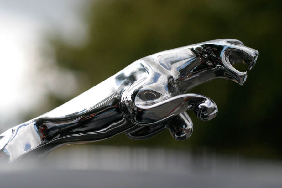 Attached Image: jaguar_mk2_ho_4_s_60.jpg