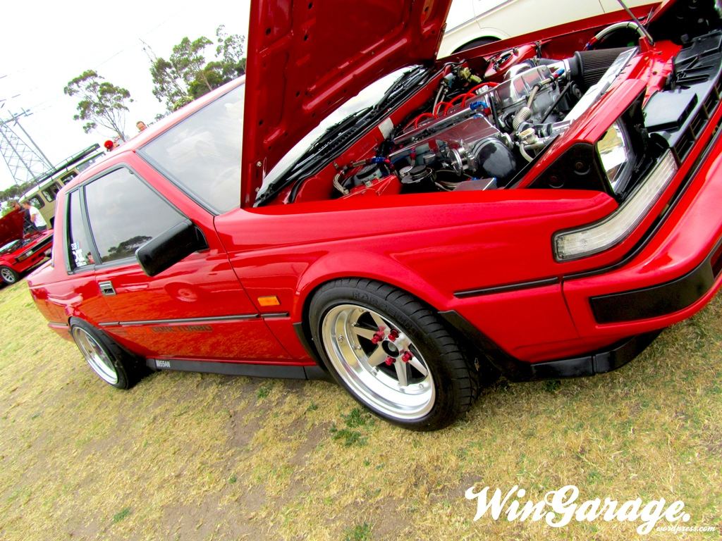 Attached Image: img_2561-1.jpeg